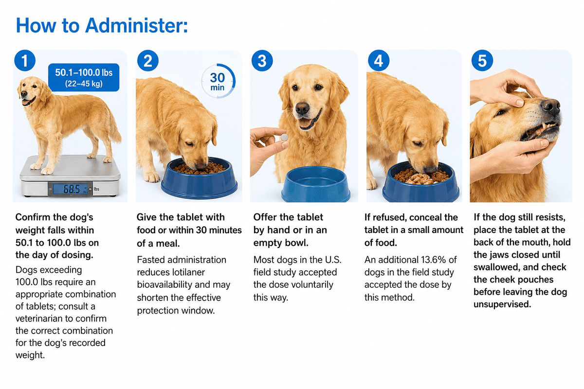 how to administer credelio for dogs 50.1-100 lbs