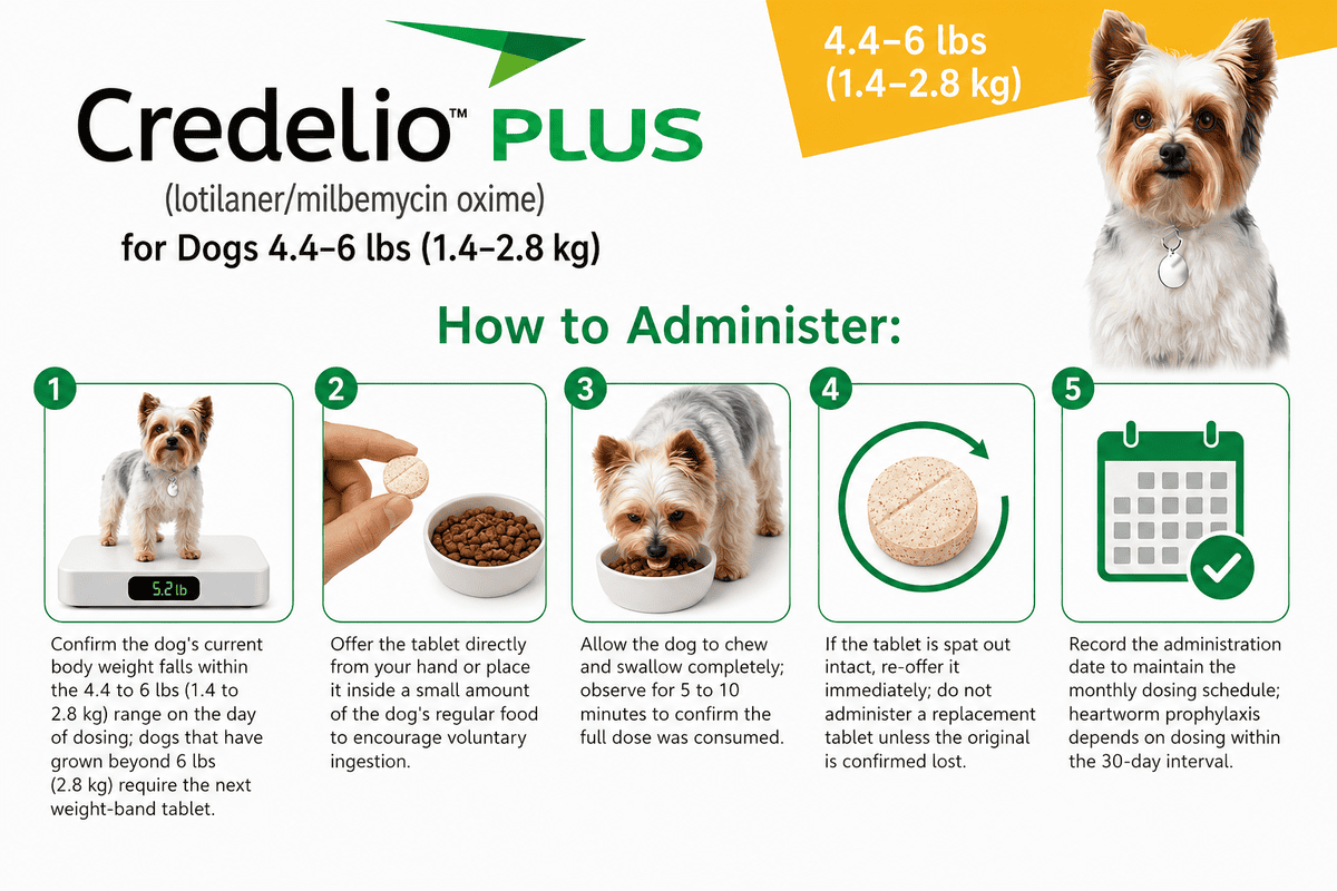 how to administer credelio plus for dogs 4.4-6 lbs