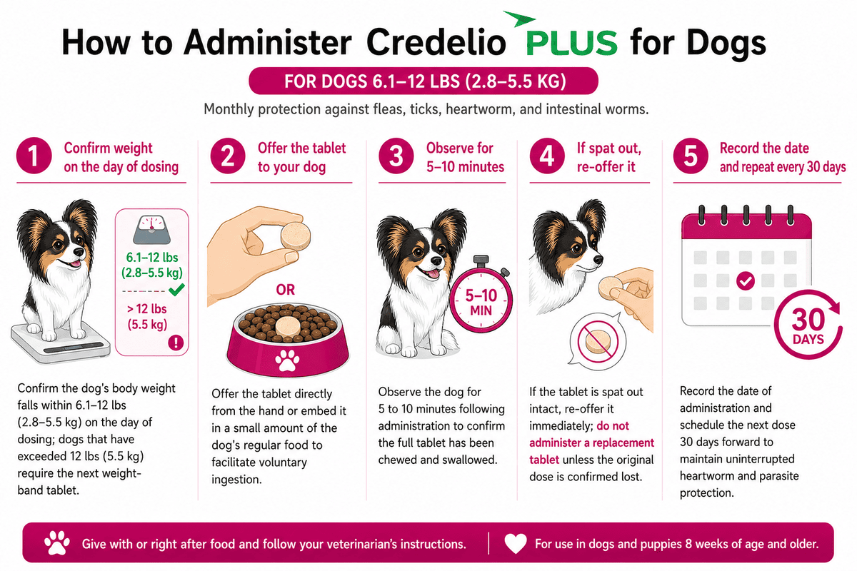 how to administer credelio plus for dogs 6.1-12 lbs
