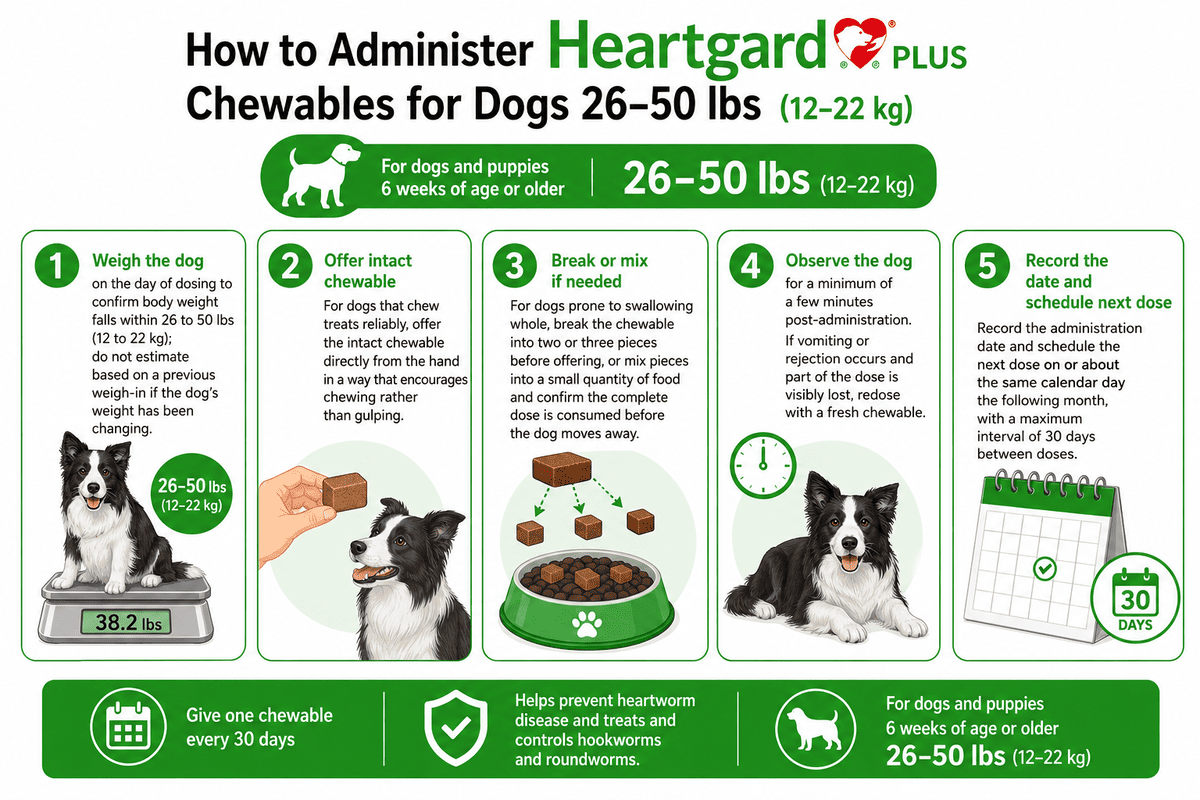 how to administer heartgard plus chewables for dogs 26-50 lbs
