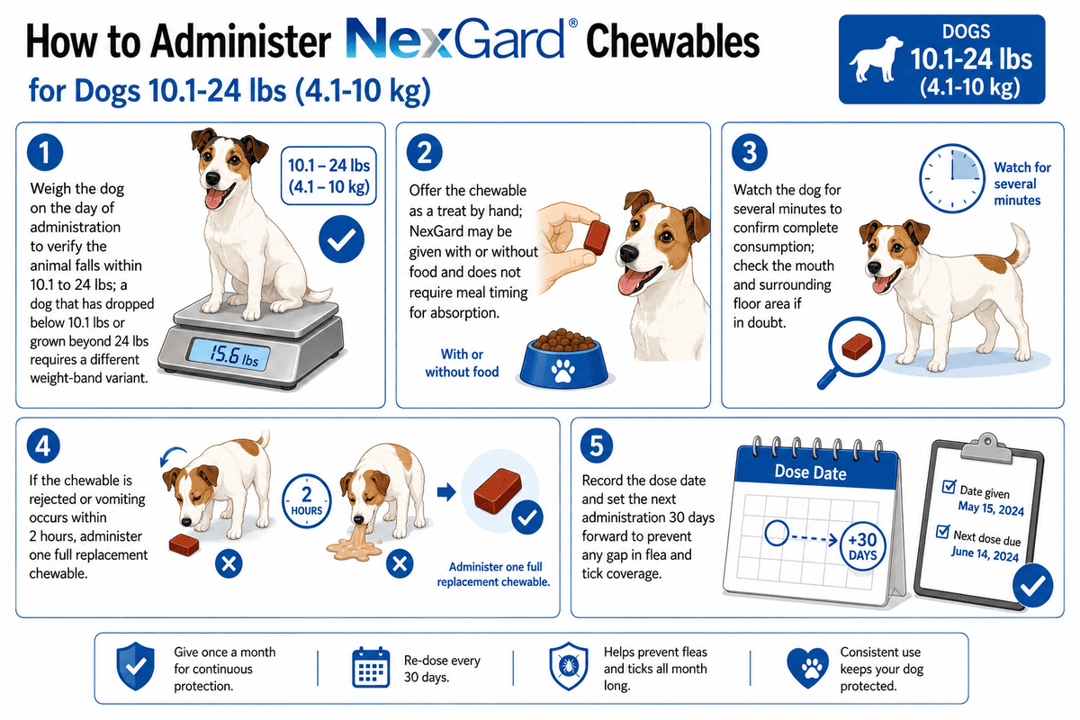how to administer nexgard chewables for dogs 10.1-24 lbs