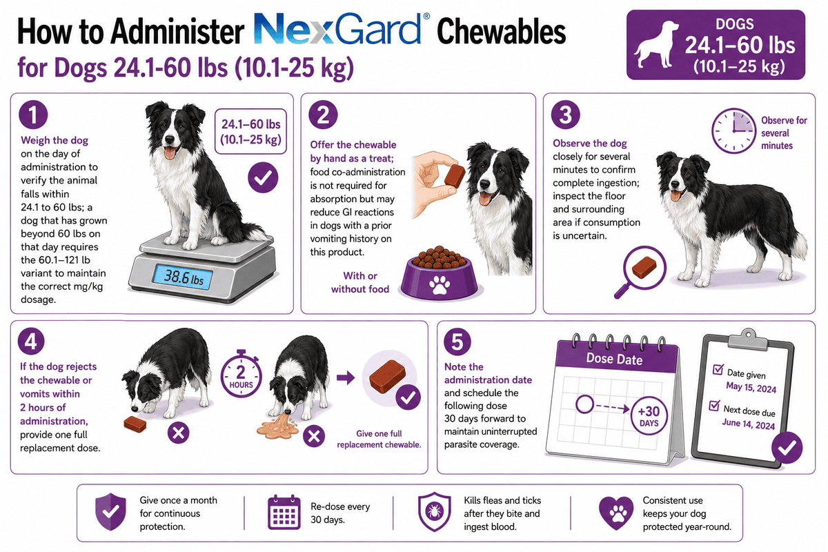 how to administer nexgard chewables for dogs 24.1-60 lbs