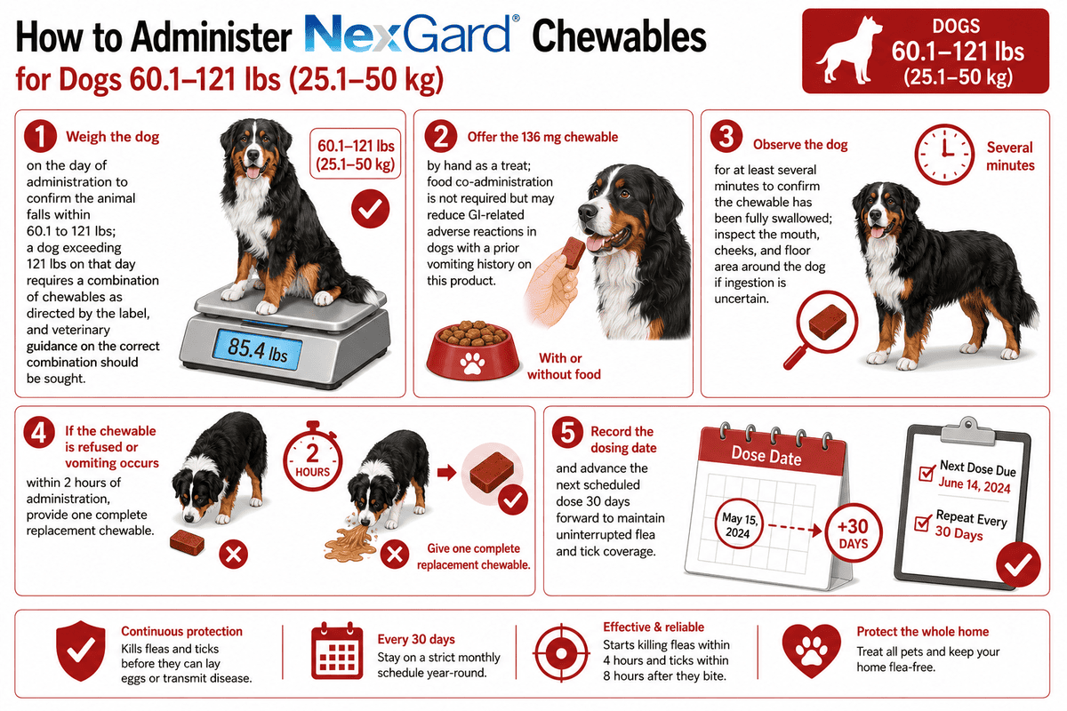 how to administer nexgard chewables for dogs 60.1-121 lbs