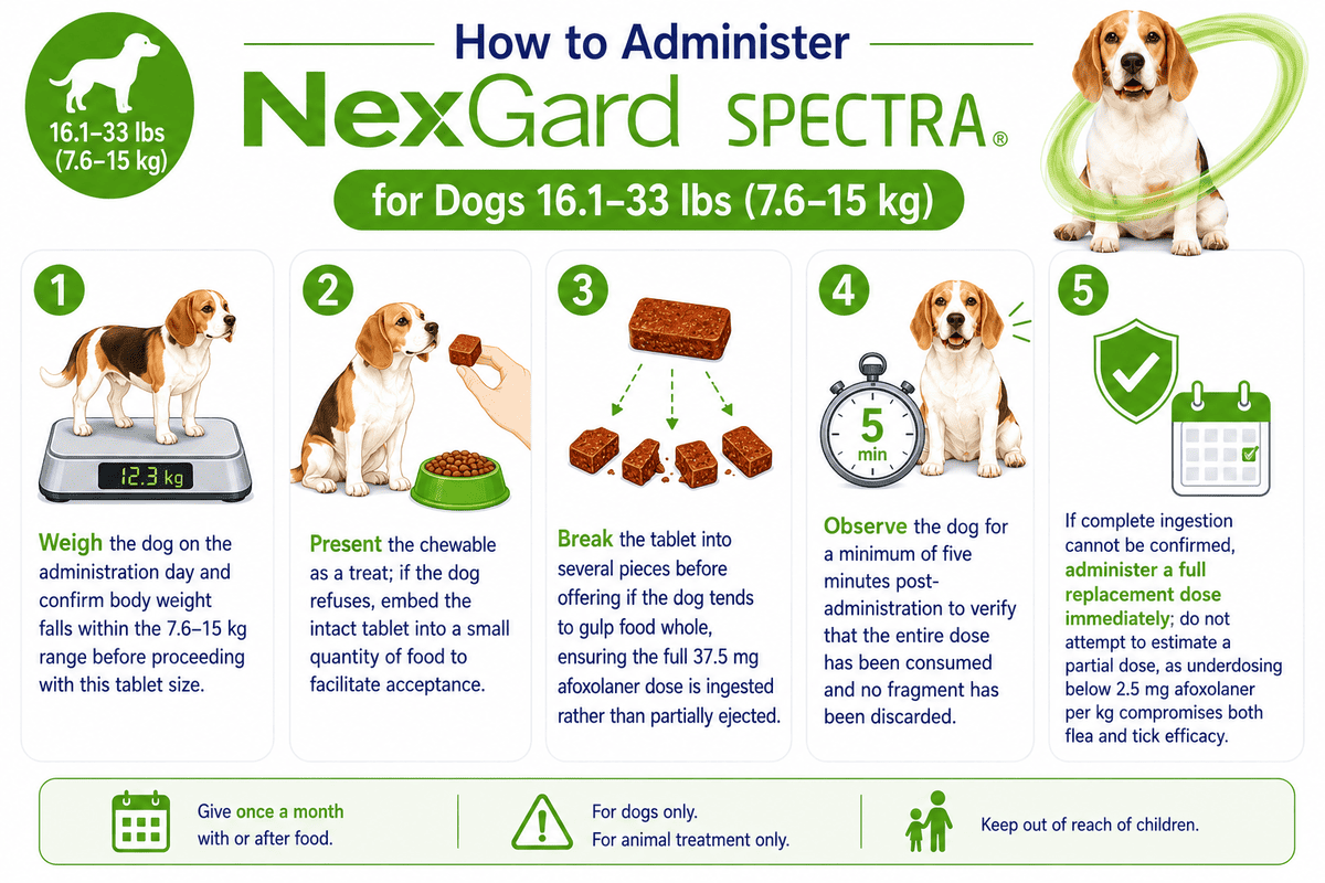 how to administer nexgard spectra for dogs 16.1-33 lbs chewabl