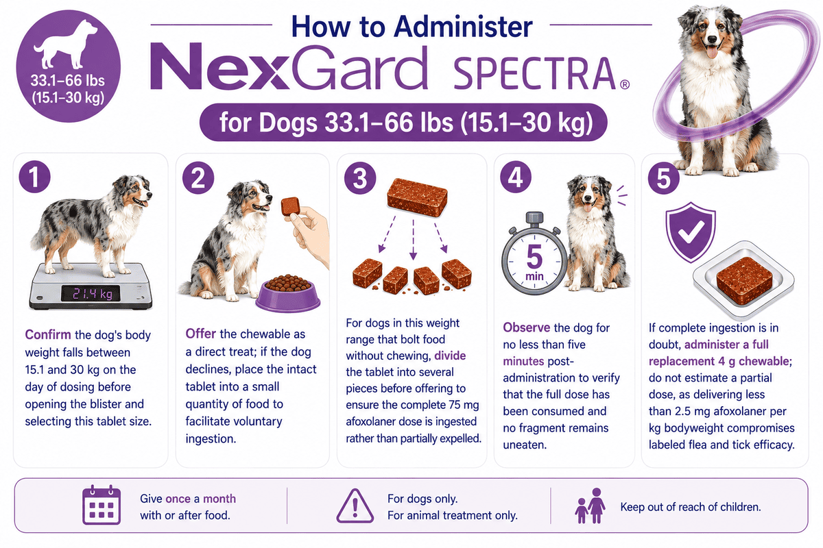 how to administer nexgard spectra for dogs 33.1-66 lbs chewable