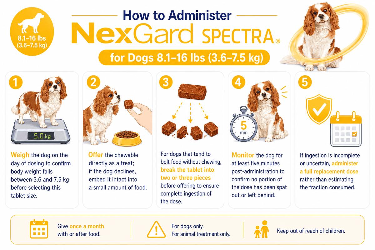 how to administer nexgard spectra for dogs 8.1-16 lbs chewable
