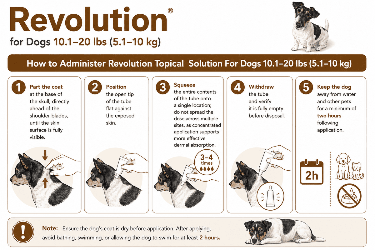 how to apply revolution for dogs 10.1-20 lbs on skin