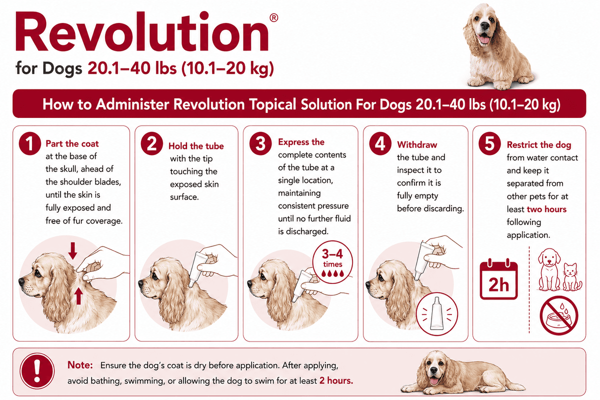 how to apply revolution for dogs 20.1-40 lbs on skin
