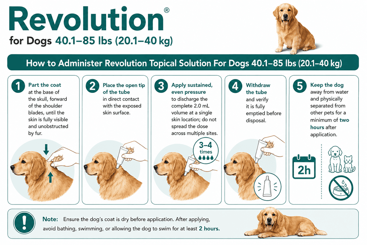 how to apply revolution for dogs 40.1-85 lbs on skin