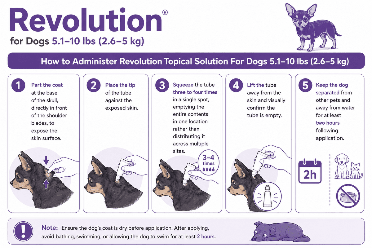 how to apply revolution for dogs 5.1-10 lbs on skin