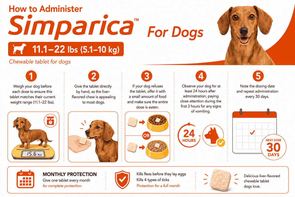how to give simparica chewable to dogs 11.1-22 lbs orally