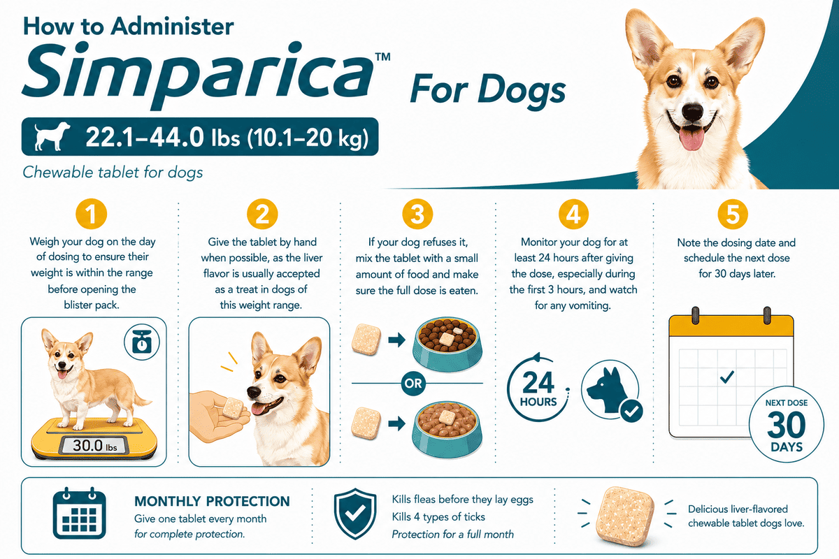 how to give simparica chewable to dogs 22.1-44 lbs orally