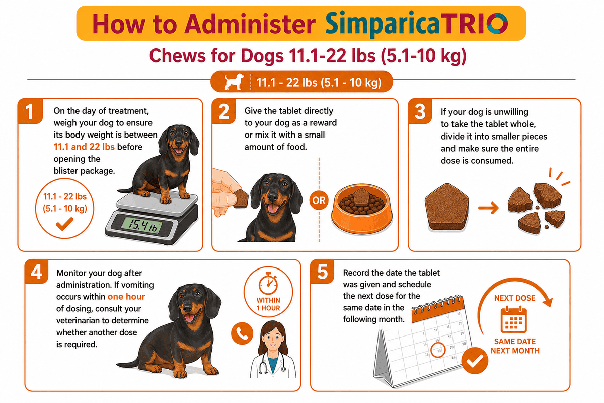 how to give simparica trio chew to dogs 11.1-22 lbs