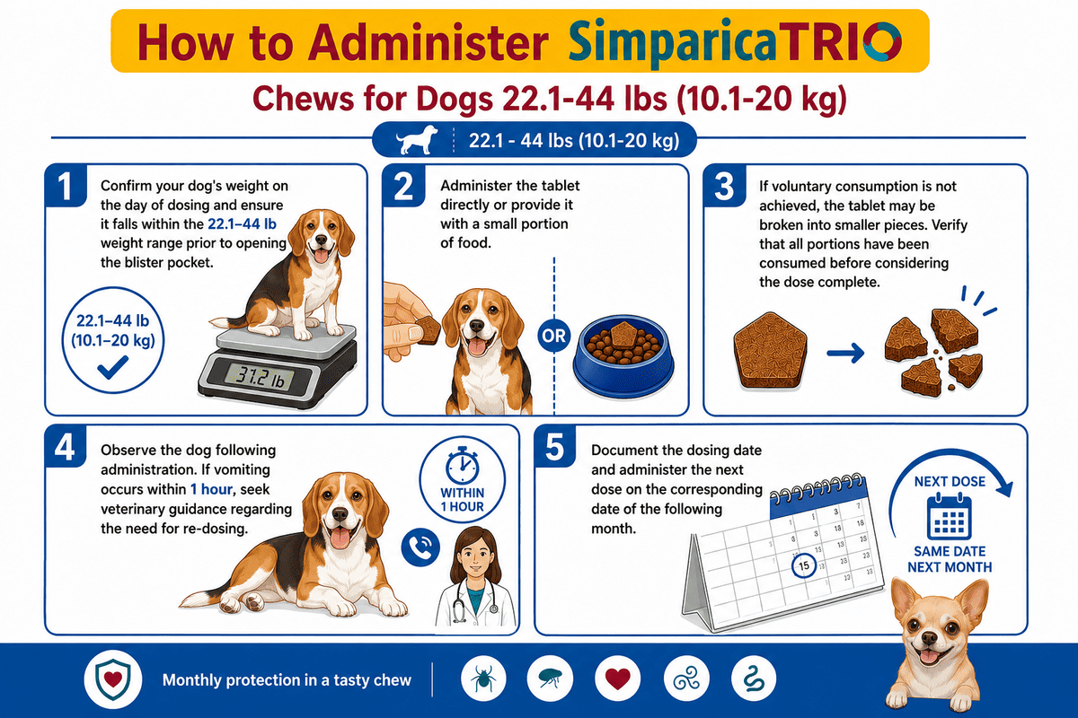 how to give simparica trio chew to dogs 22.1-44 lbs