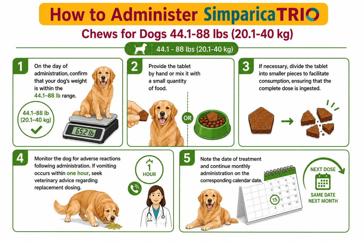 how to give simparica trio chew to dogs 44.1-88 lbs