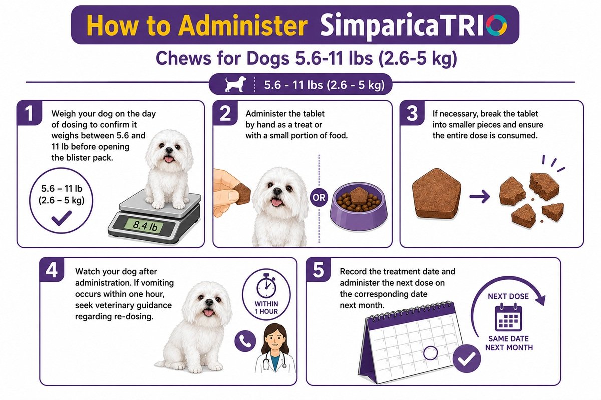 How to give Simparica TRIO Chews for Dogs 5.6-11 lbs