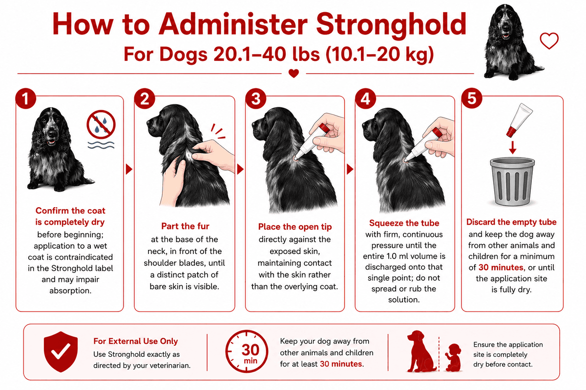 how to administer stronghold for dogs 20.1-40 lbs