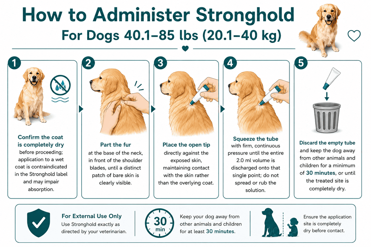 how to administer stronghold for dogs 40.1-85 lbs
