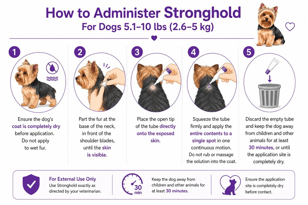 How to apply Stronghold For Dogs 5.1-10 lbs correctly