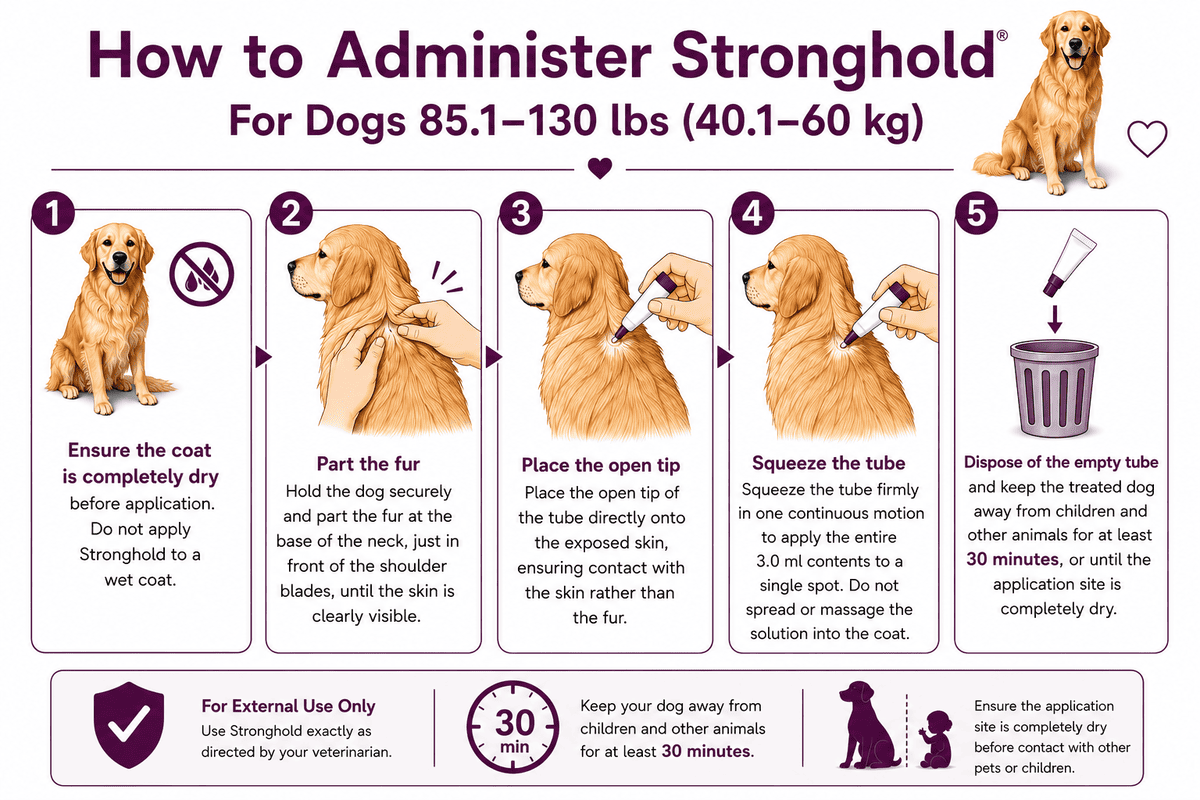 how to administer stronghold for dogs 85.1-130 lbs