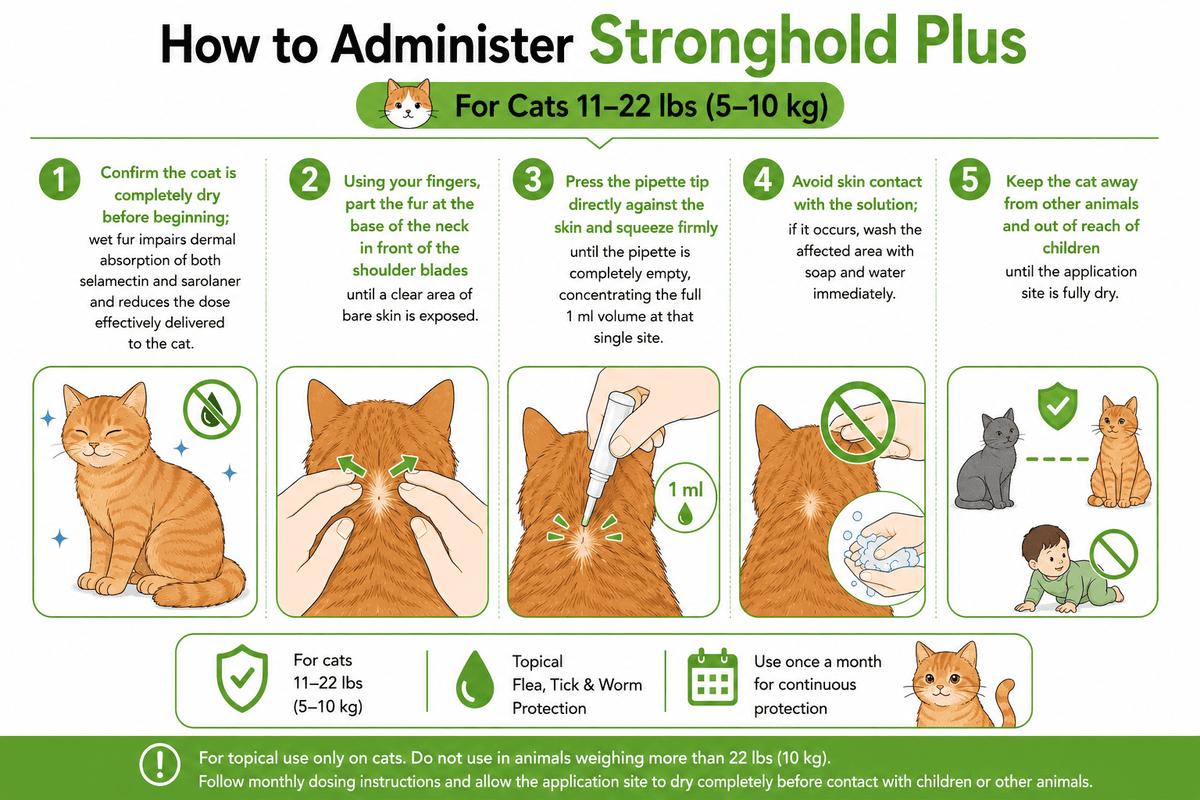 how to apply stronghold plus for cats 11-22 lbs spot-on