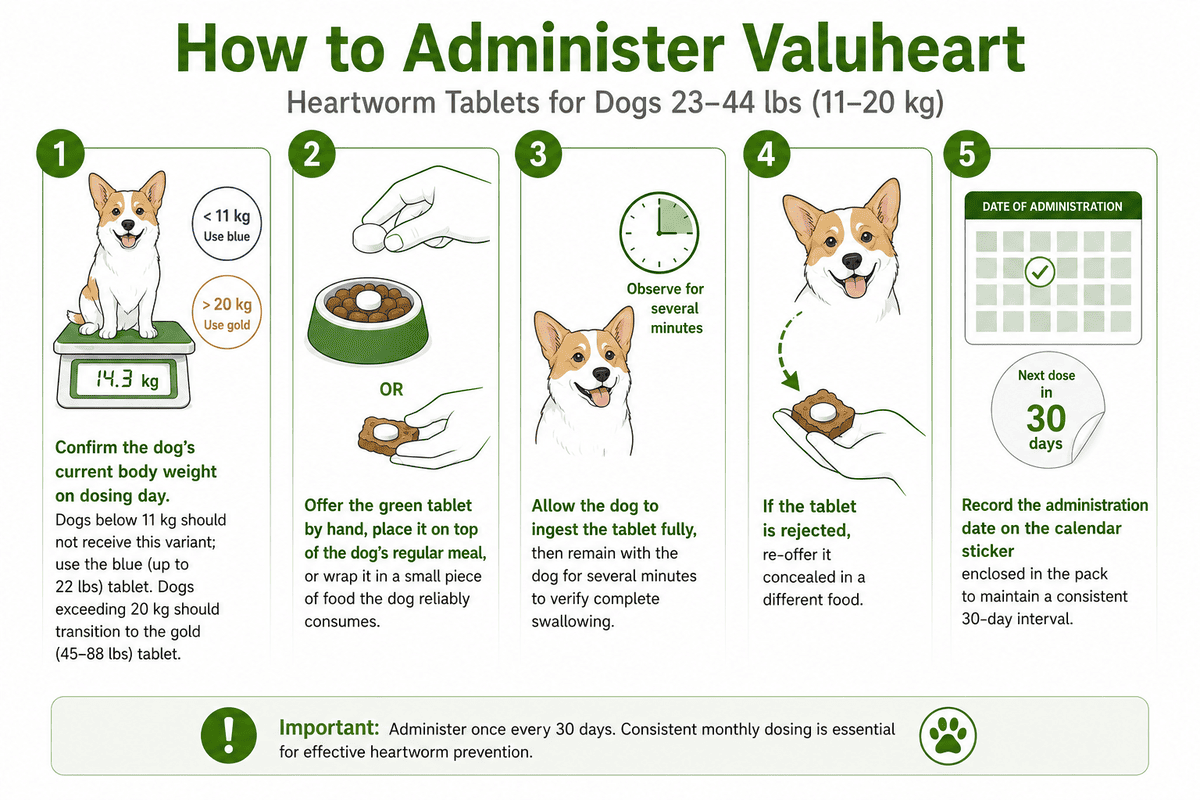 how to give valuheart heartworm tablet to dogs 23-44 lbs