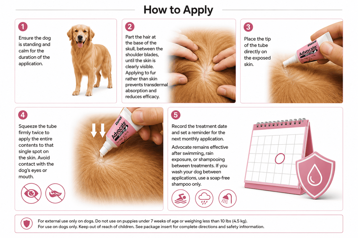 how to apply advocate spot on for dogs 22-55 lbs