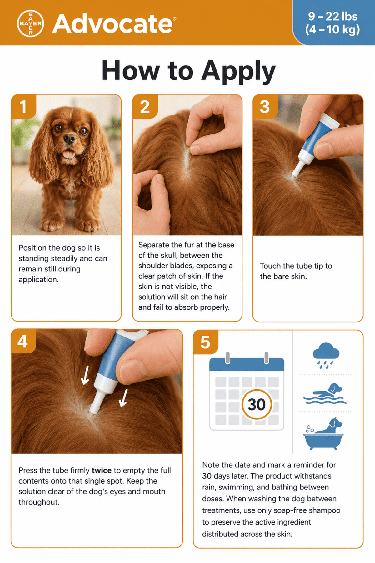 how to apply advocate spot on for dogs 9-22 lbs