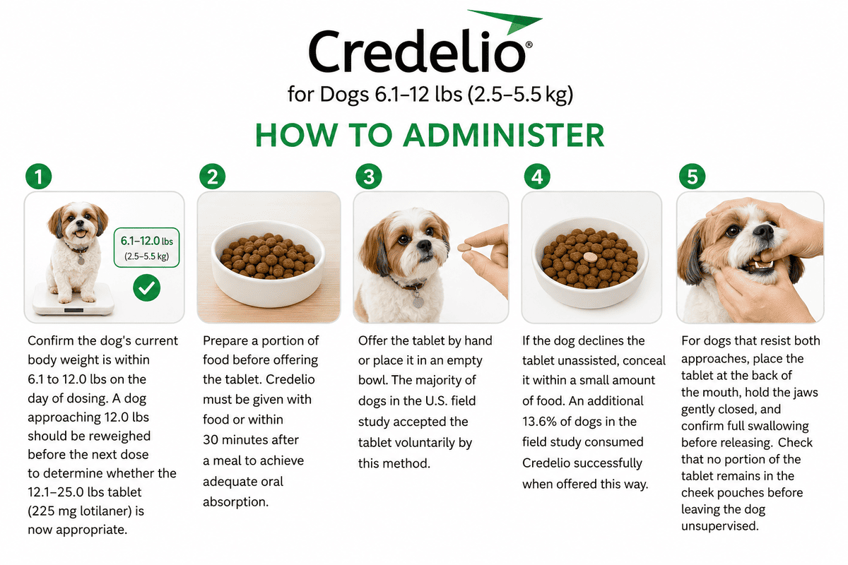 how to give credelio for dogs 6.1-12 lbs