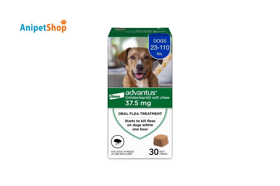 Top 30 Best Flea Medicine for Dogs Without Vet Prescription