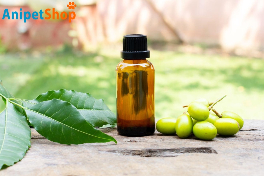 Image about neem-oil
