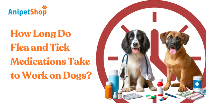 How Long Do Flea and Tick Medications Take to Work on Dogs?