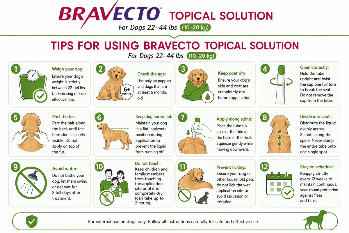 tips for using bravecto topical solution for dogs 22 - 44 lbs
