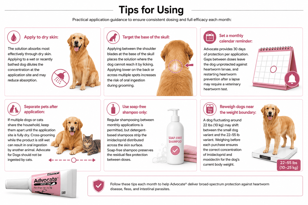 tips for using advocate spot on for dogs 22-55 lbs