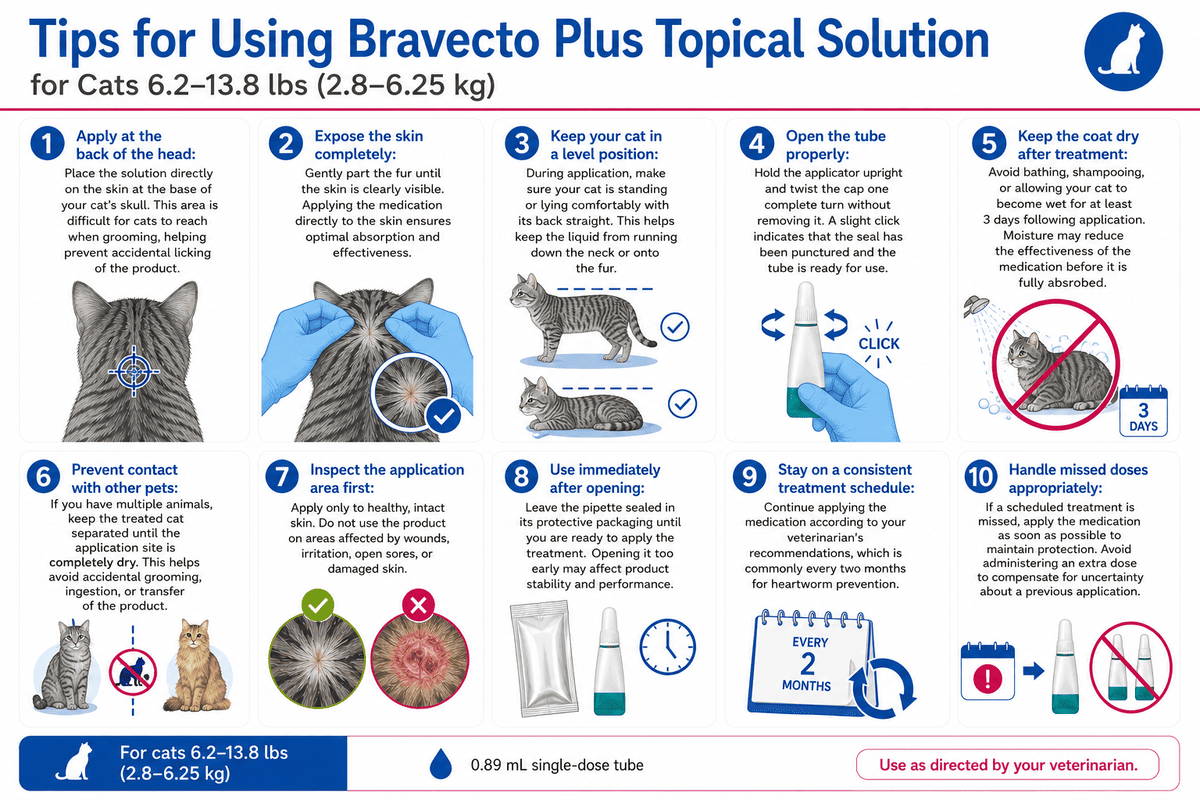 bravecto plus topical solution for cats 6.2-13.8 lbs usage tips