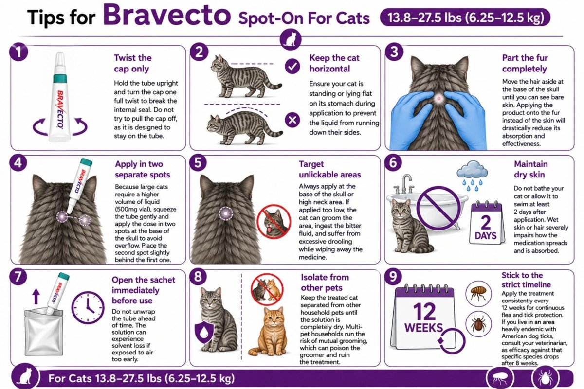 Helpful guidance for using Bravecto Spot-On For Cats 13.8-27.5 lbs