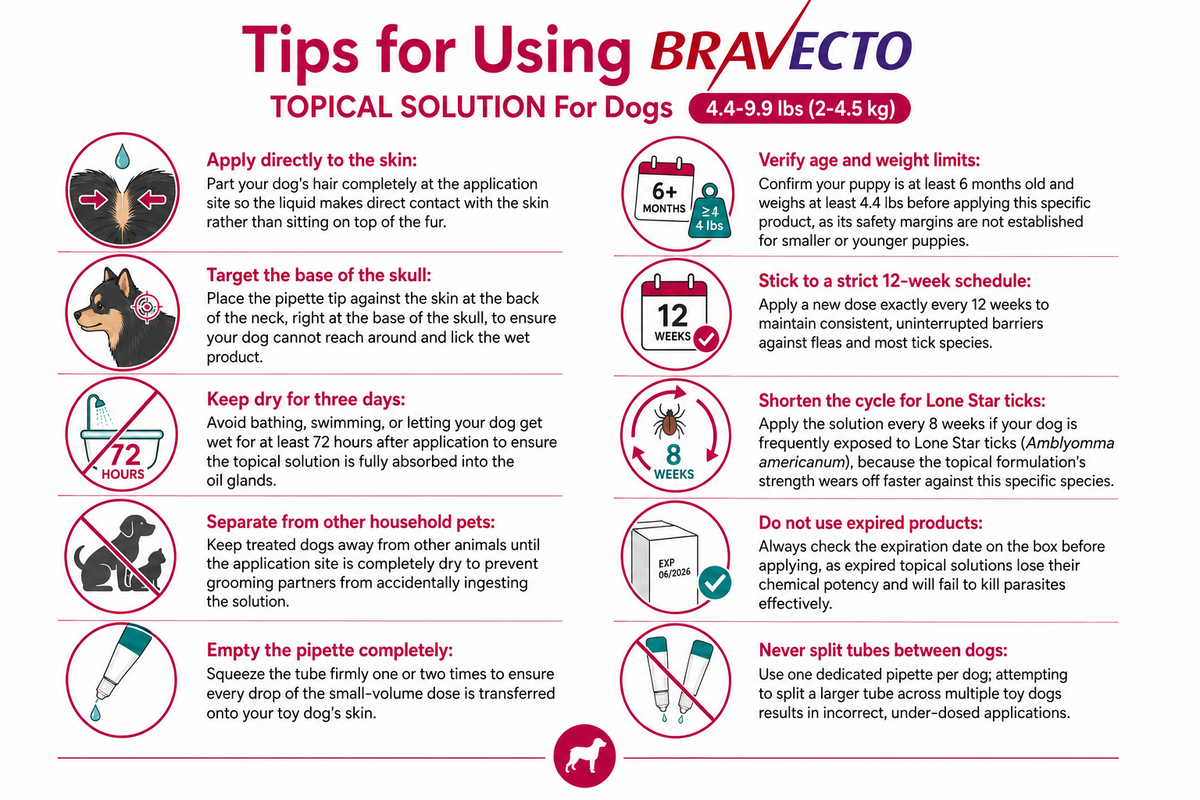 tips for using bravecto spot-on for dogs 4.4–9.9 lbs
