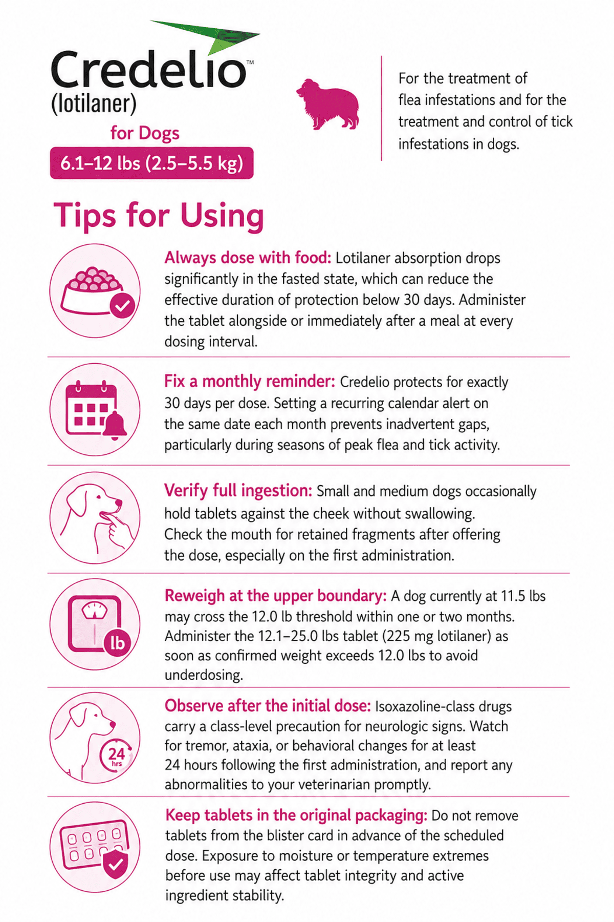 tips for using credelio for dogs 6.1-12 lbs