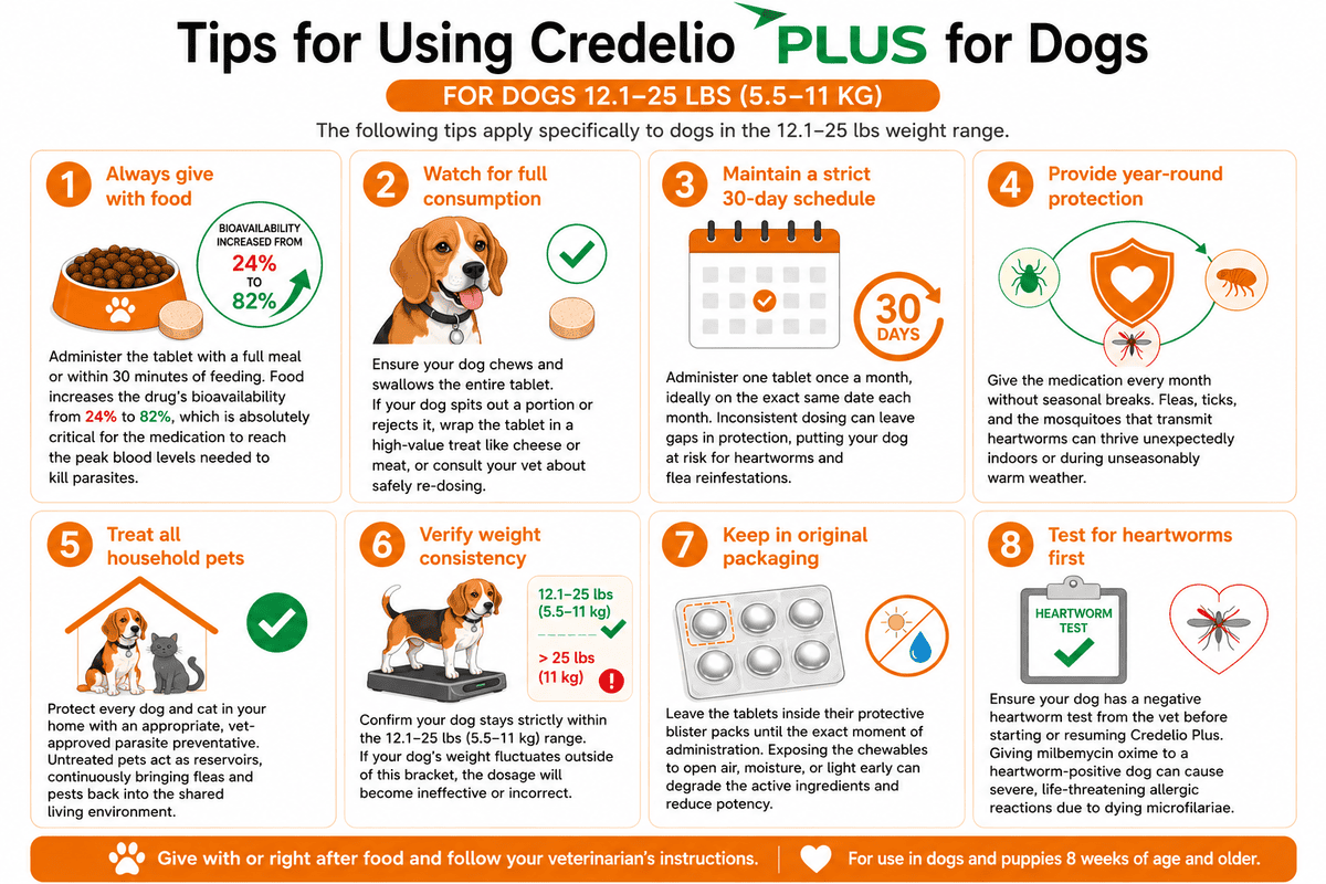 tips for using credelio plus for dogs 12.1-25 lbs