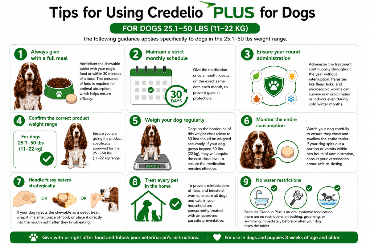 tips for using credelio plus for dogs 25.1-50 lbs