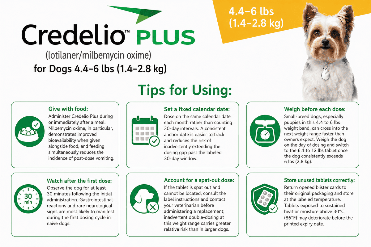 tips for using credelio plus for dogs 4.4-6 lbs