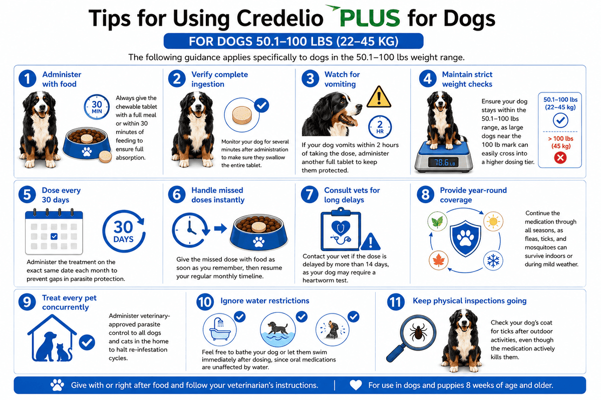 tips for using credelio plus for dogs 50.1-100 lbs