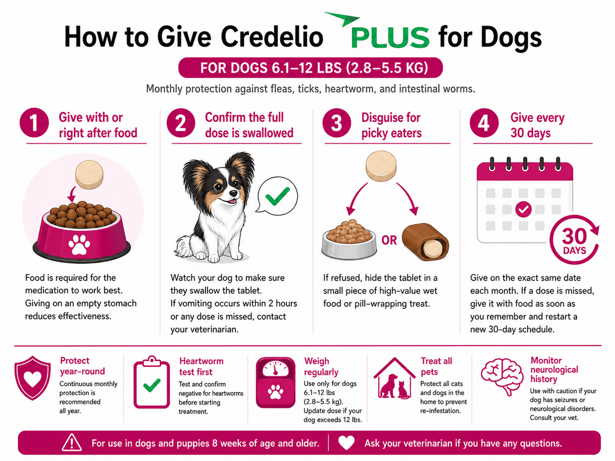 tips for using credelio plus for dogs 6.1-12 lbs