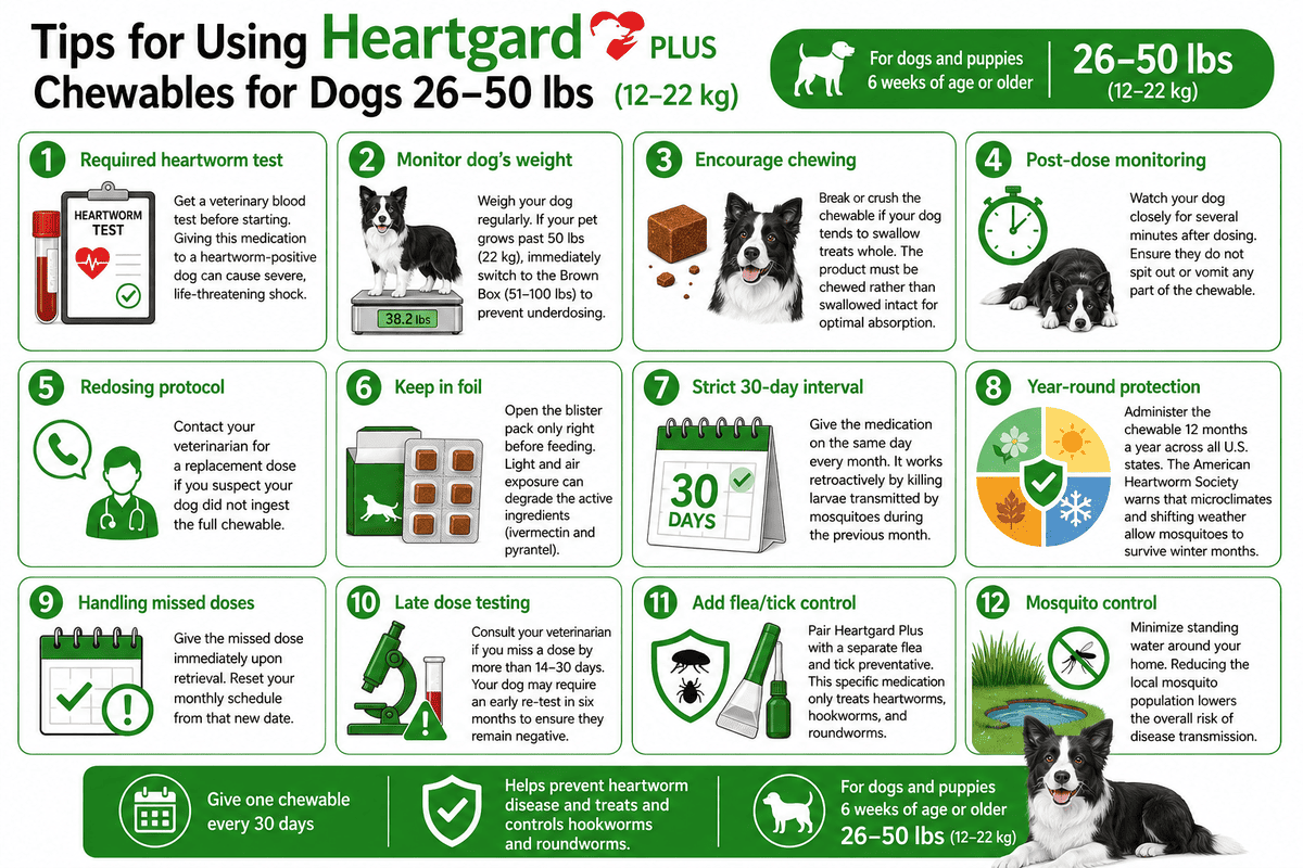 tips for using heartgard plus chewables for dogs 26-50 lbs