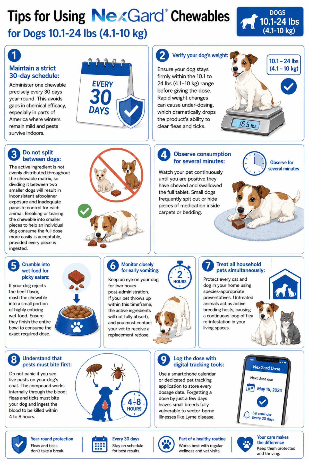 tips for using nexgard chewables for dogs 10.1-24 lbs