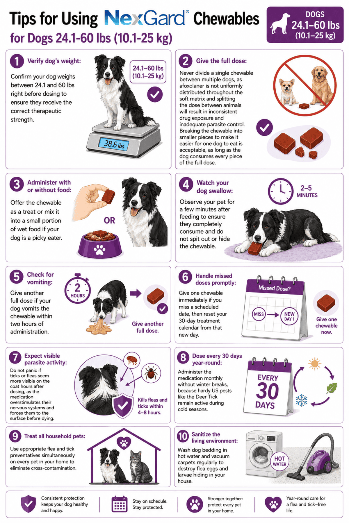 tips for using nexgard chewables for dogs 24.1-60 lbs