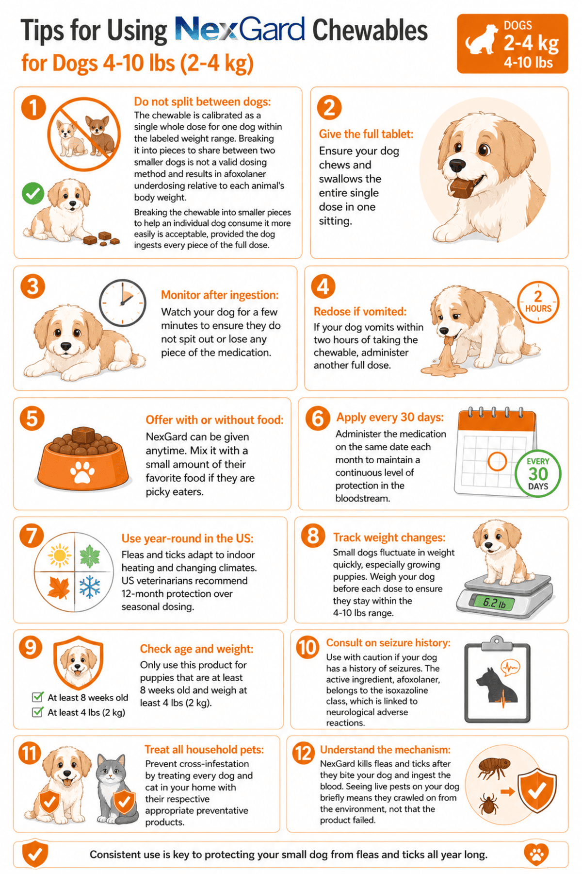 tips for using nexgard chewables for dogs 4-10 lbs
