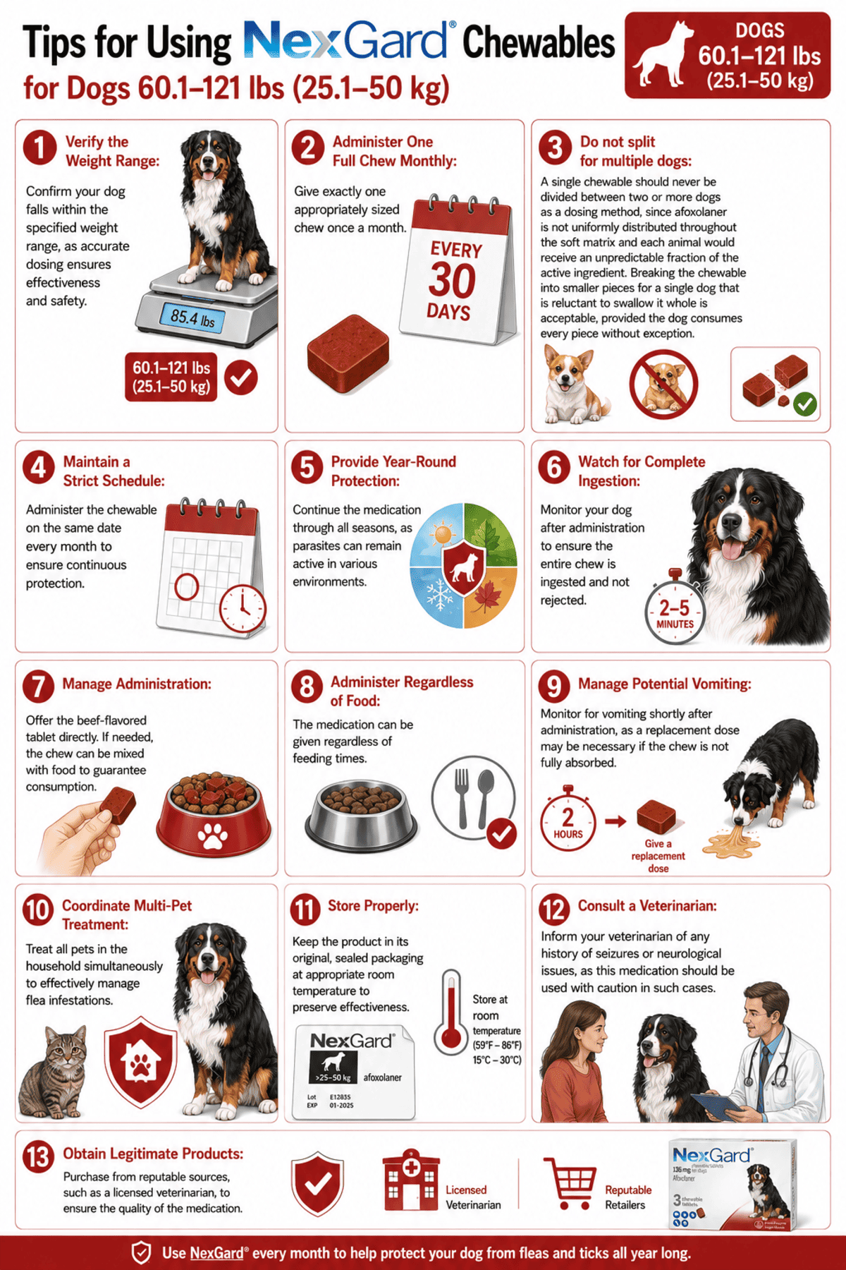 tips for using nexgard chewables for dogs 60.1-121 lbs