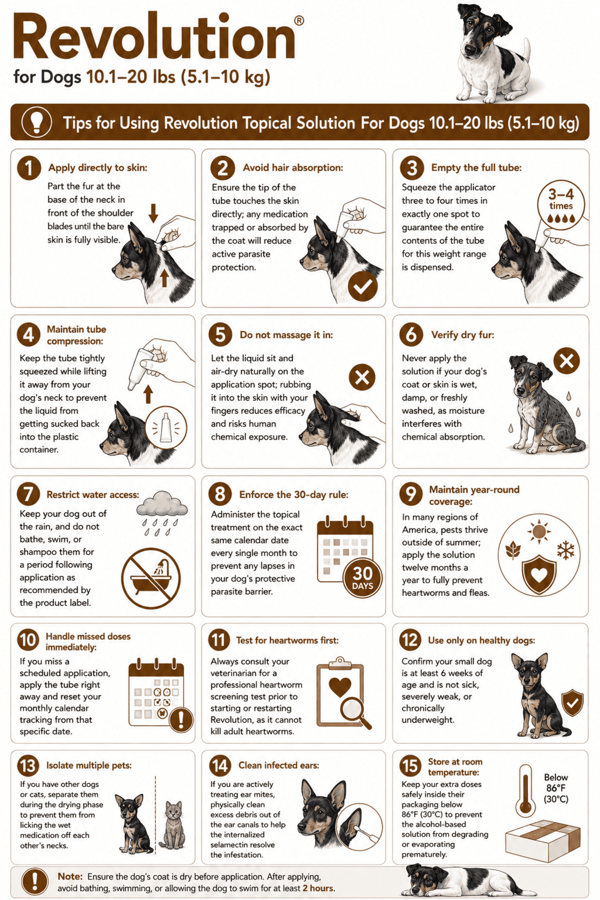 tips for using revolution for dogs 10.1-20 lbs monthly spot-on