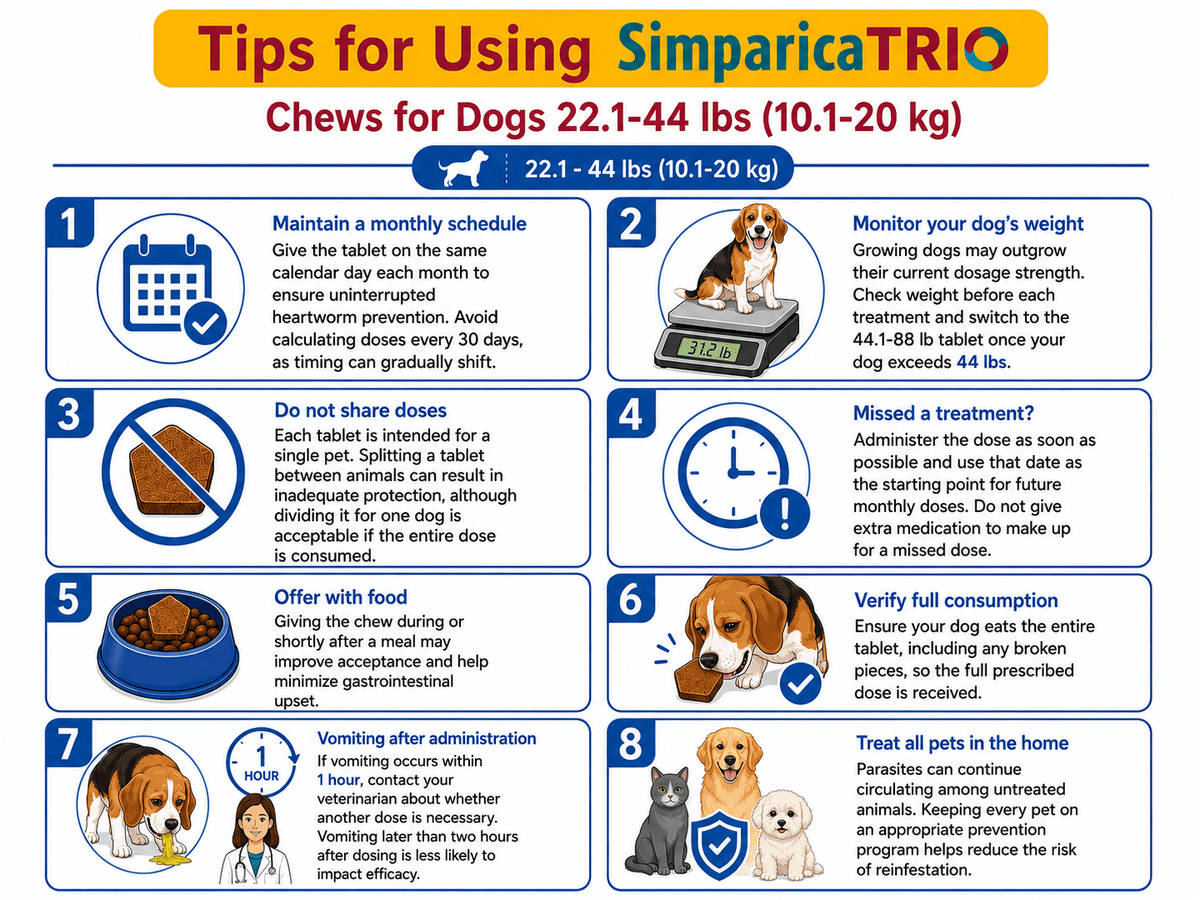 tips for using simparica trio chews for dogs 22.1-44 lbs